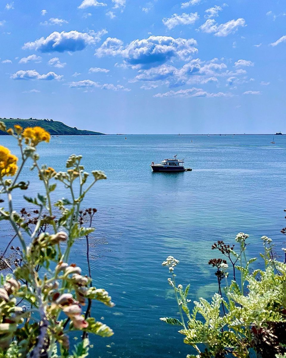 Sunny Plymouth ☀️🛥️

📍 Plymouth Sound
📸 instagram.com/inspector_gadg…

See more at instagram.com/visitplymouth/