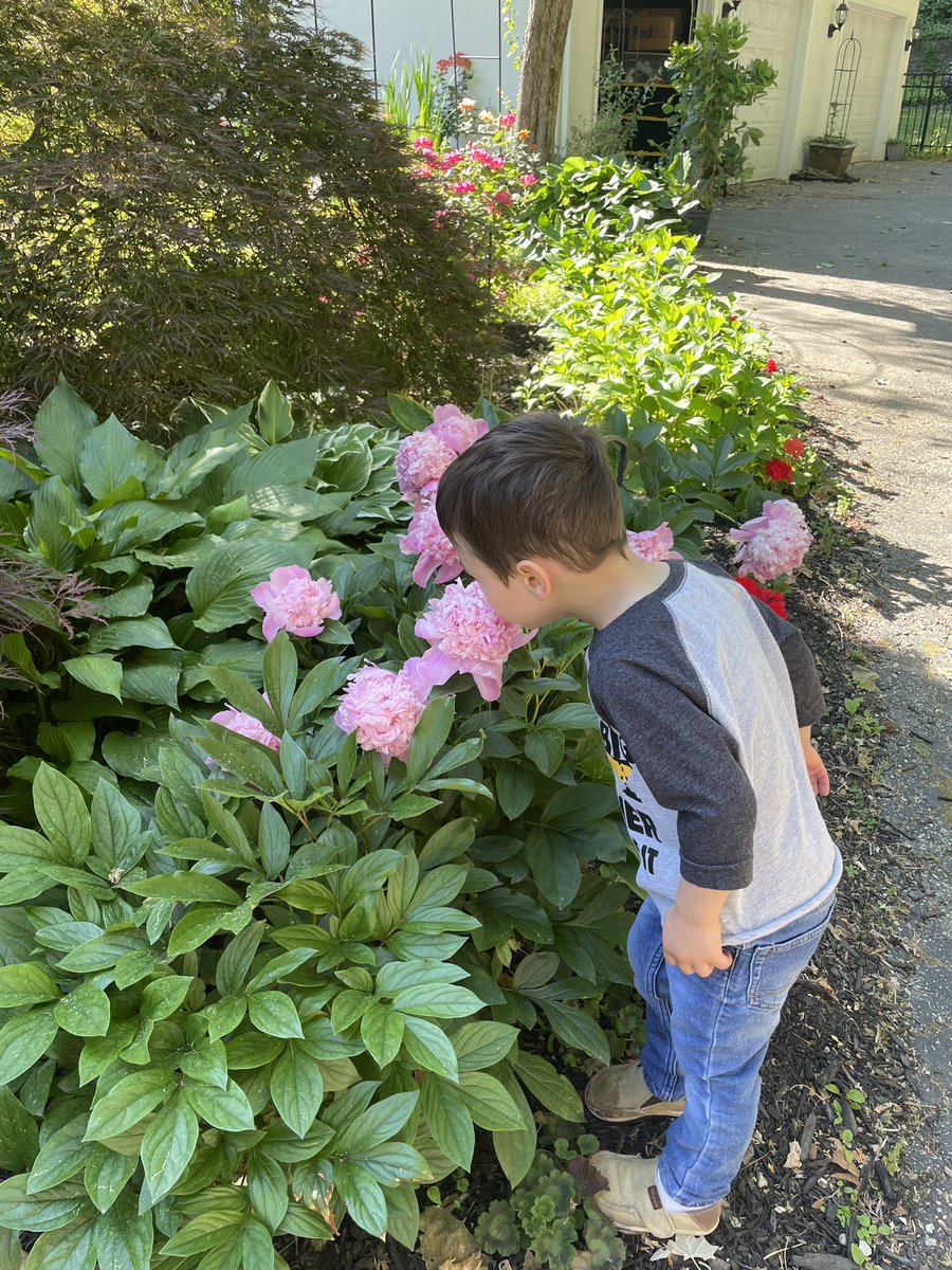 2 of my favorite things: blooming peonies and my son who loves smelling them ❤️❤️
