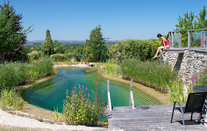 zachbatteer's tweet photo. longstanding life goal is to build one of these natural swimming pools on my property

prob ~$50-75k if you go DIY route. companies charge exorbitant amounts to build them ($200k+)

100% rain fed, haven for wild life, beautiful, no chemicals, more resilient ecosytem https://t.co/6RsGIuWef4