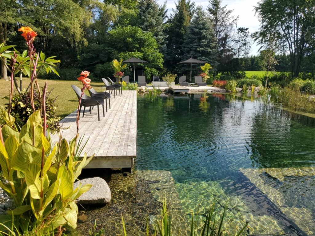 longstanding life goal is to build one of these natural swimming pools on my property

prob ~$50-75k if you go DIY route. companies charge exorbitant amounts to build them ($200k+)

100% rain fed, haven for wild life, beautiful, no chemicals, more resilient ecosytem