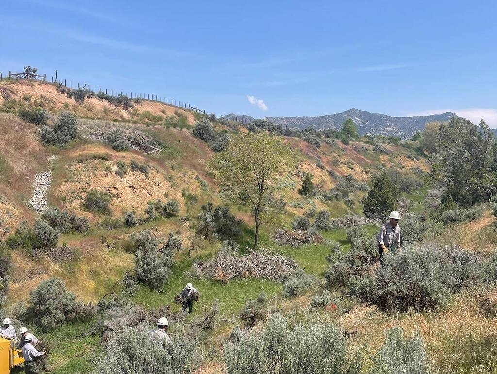 Colorado River Fire Rescue tweet media