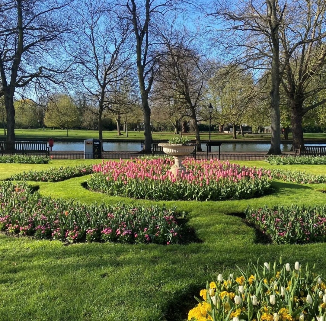 The Great British Garden Festival tweet media