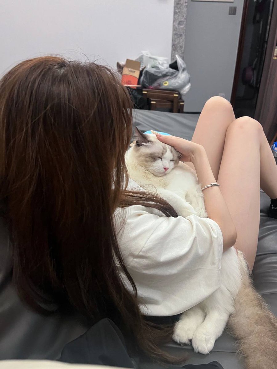 Babbit237's tweet photo. When i play with her🐱🐱 https://t.co/QmBvVTFnRI