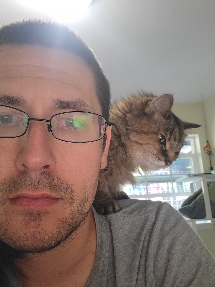 @brianne2k Kevin from Seattle. I currently have a cat on my shoulder #PopChat

(So, more like #PopCat I guess)
