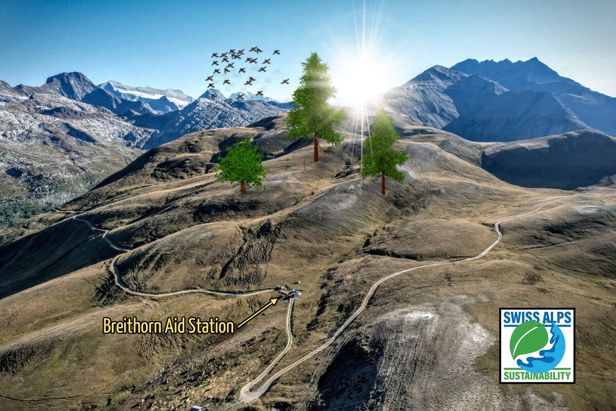 Swiss Alps 100 Endurance Run tweet media