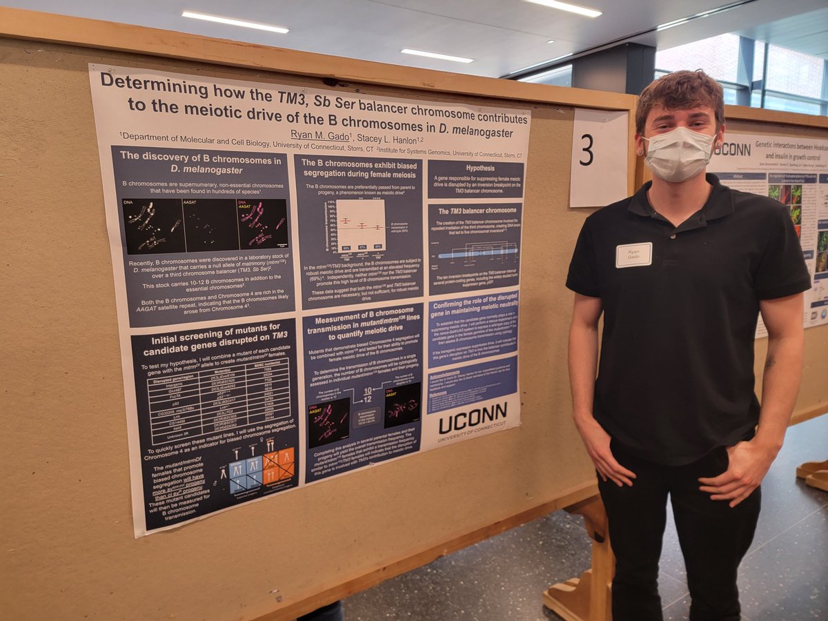 Hanlon Lab tweet media