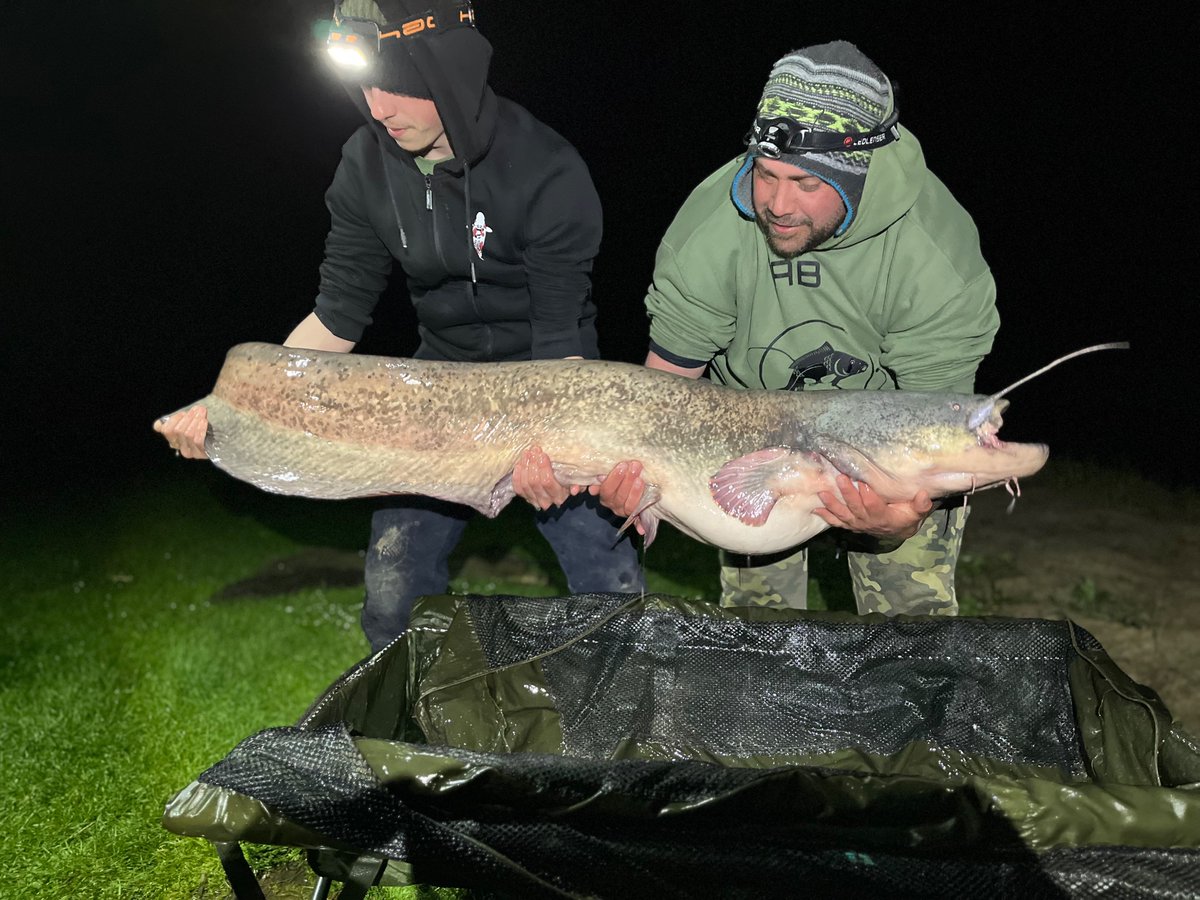 My catches from the recent 72hr social, breaking 2 PB’s,
Mirror 24lb
Cat 60lb

#fishingfun #fishingday #fishingdaily #fishingtime #fishinglifestyle #fishingtackle #photooftheday #carpfish #angling #carpy #lakeside