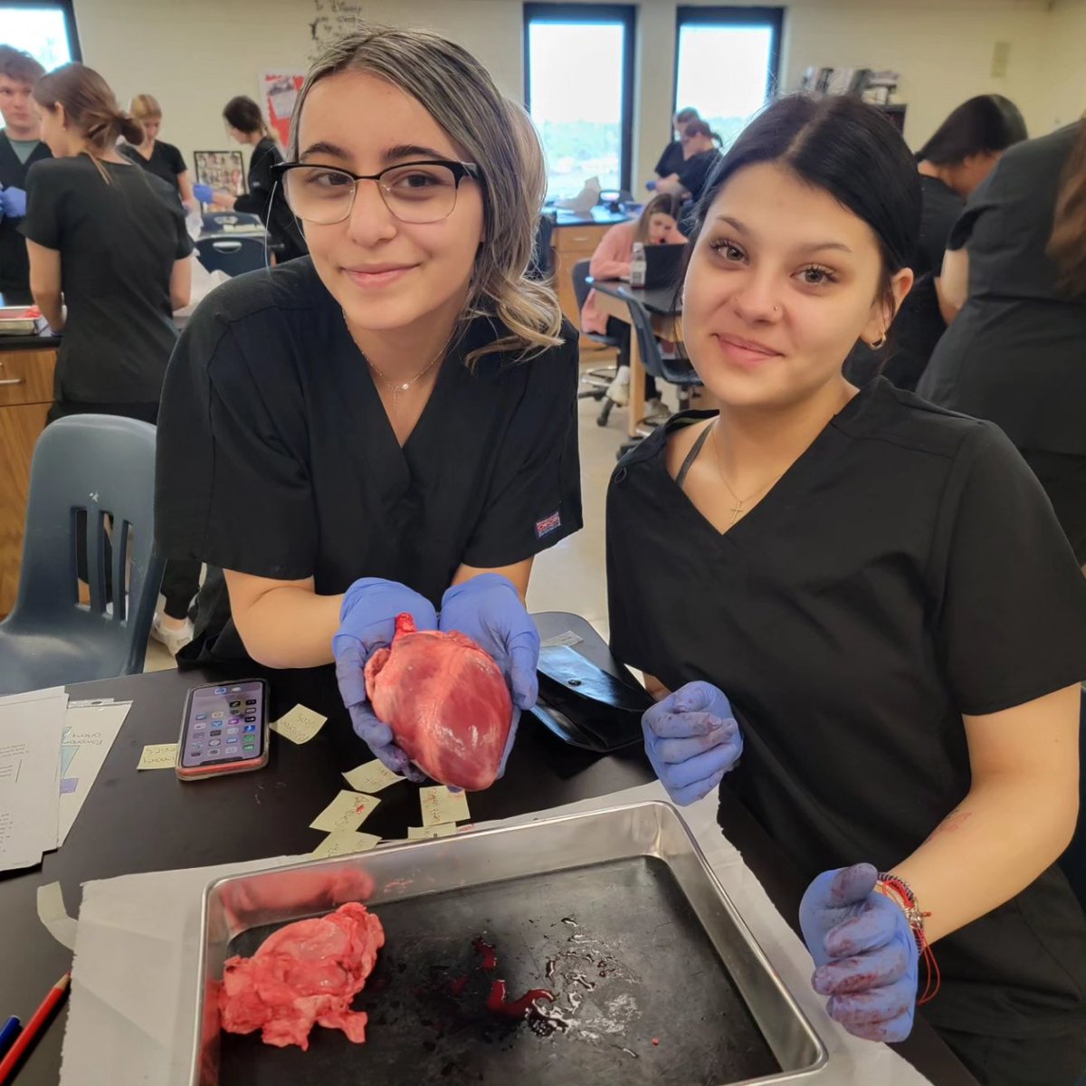 Last round of heart dissections with a great class who did an awesome job!  Great way to end the year! <a href="/ParmaSchools/">Parma City School District</a> <a href="/pcsdcte/">Career Tech</a>