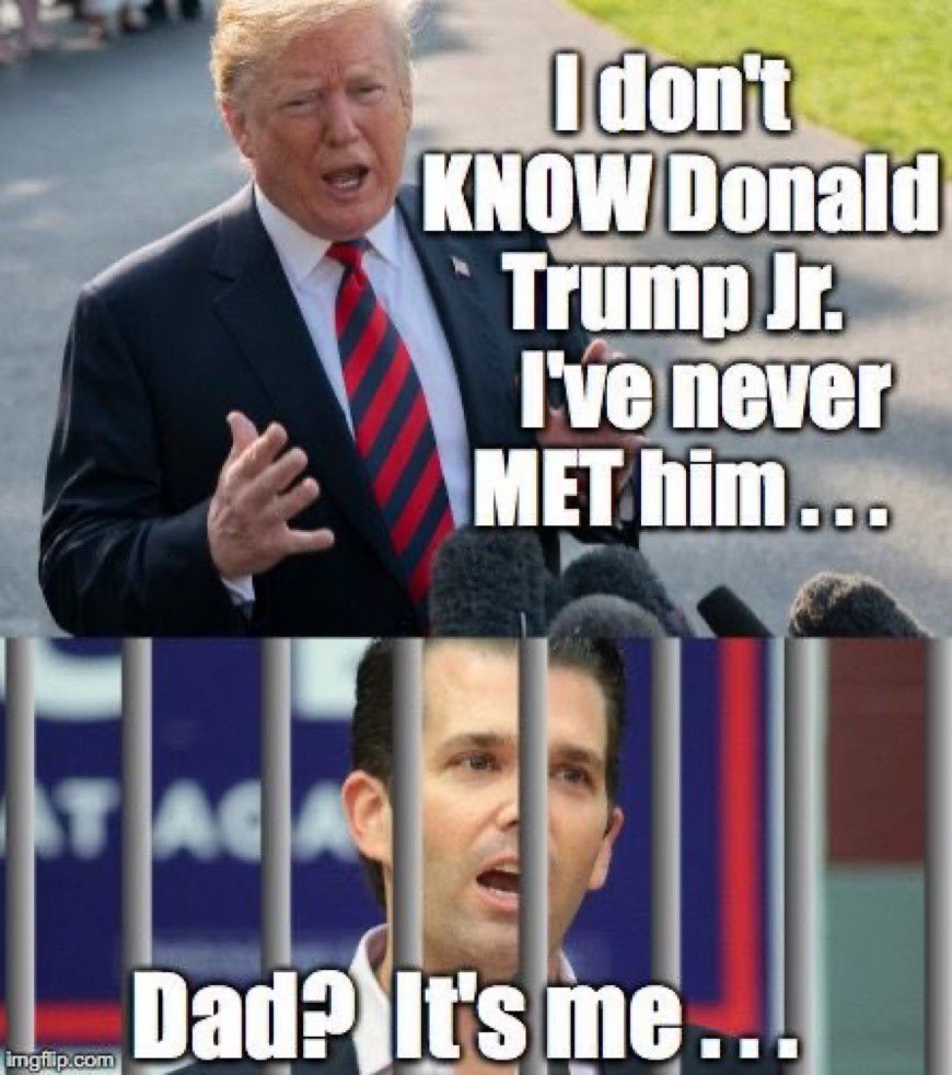 Donald Trump Jr. is a fucking moron.