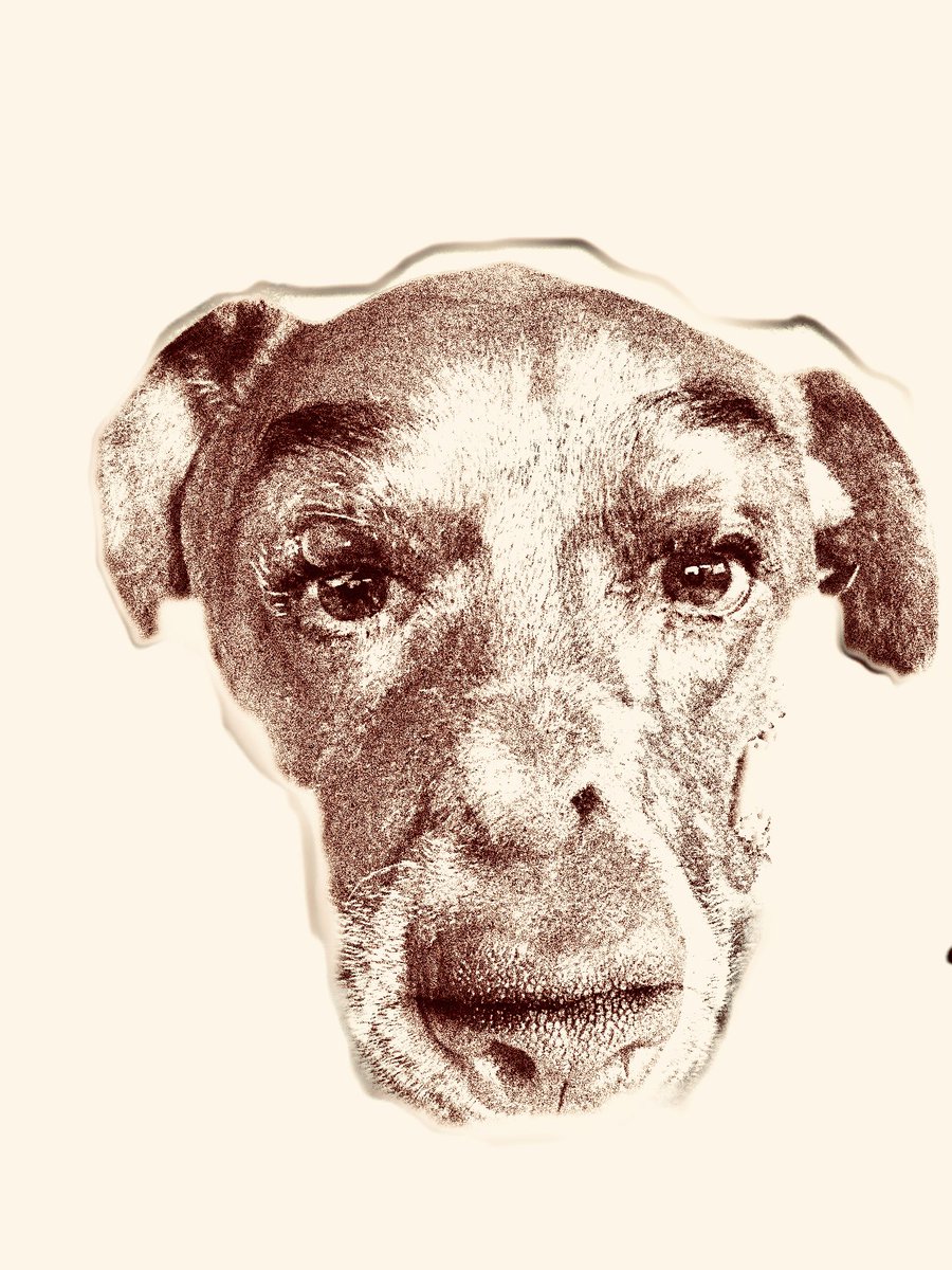 Luigi and Nina #humanimals #hybrid #portrait #intimacy #closeness