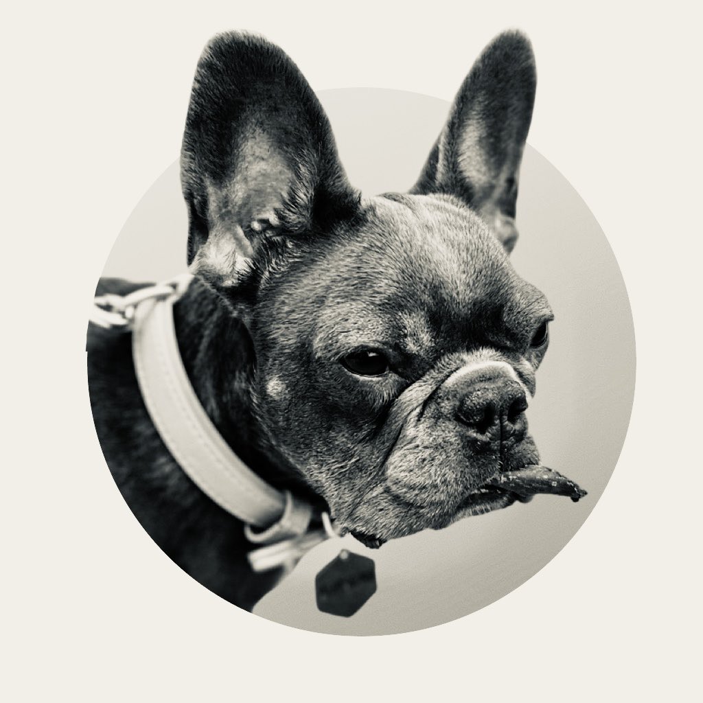 kofi2go's tweet photo. Farewell, Bonnie. Du warst ein Sonnenschein. Dass deine schwere Krankheit nicht lange mit dem Leben vereinbar sein würde, war uns klar. Ein bisschen mehr gemeinsame Zeit wäre trotzdem schön gewesen. https://t.co/R1kroNgp9c