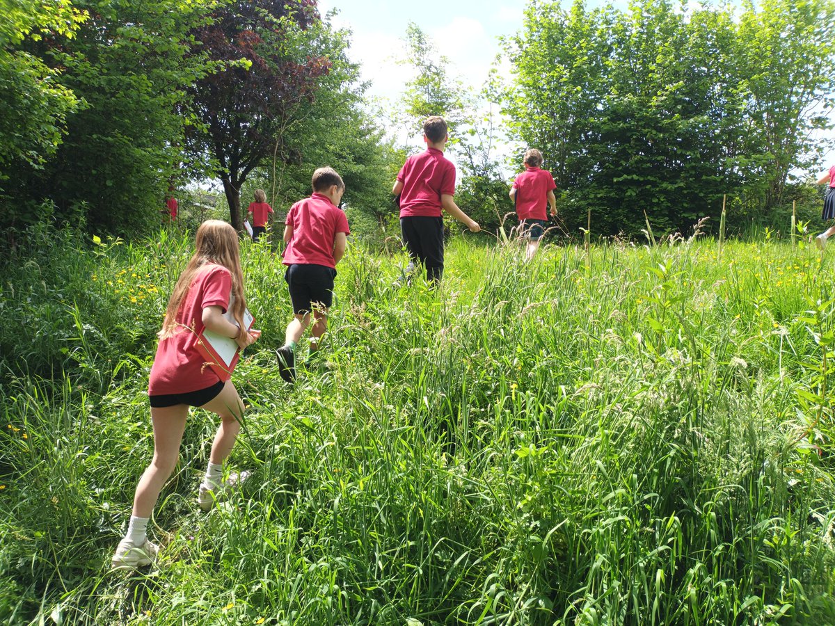 Hendrefoilan's tweet photo. A wonderful afternoon exploring the biodiversity of our wonderful school grounds! Plus a check in on our trees and @PeaceMala garden! All looking beautiful! βοΈπΌπ³ #hdfpSciTech https://t.co/tiPS2FB92Z