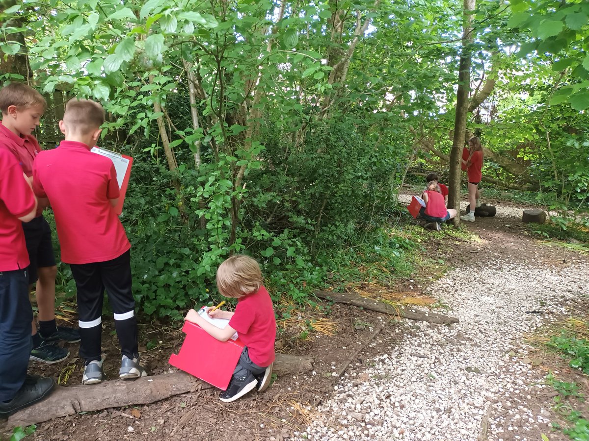 Hendrefoilan's tweet photo. A wonderful afternoon exploring the biodiversity of our wonderful school grounds! Plus a check in on our trees and @PeaceMala garden! All looking beautiful! βοΈπΌπ³ #hdfpSciTech https://t.co/tiPS2FB92Z