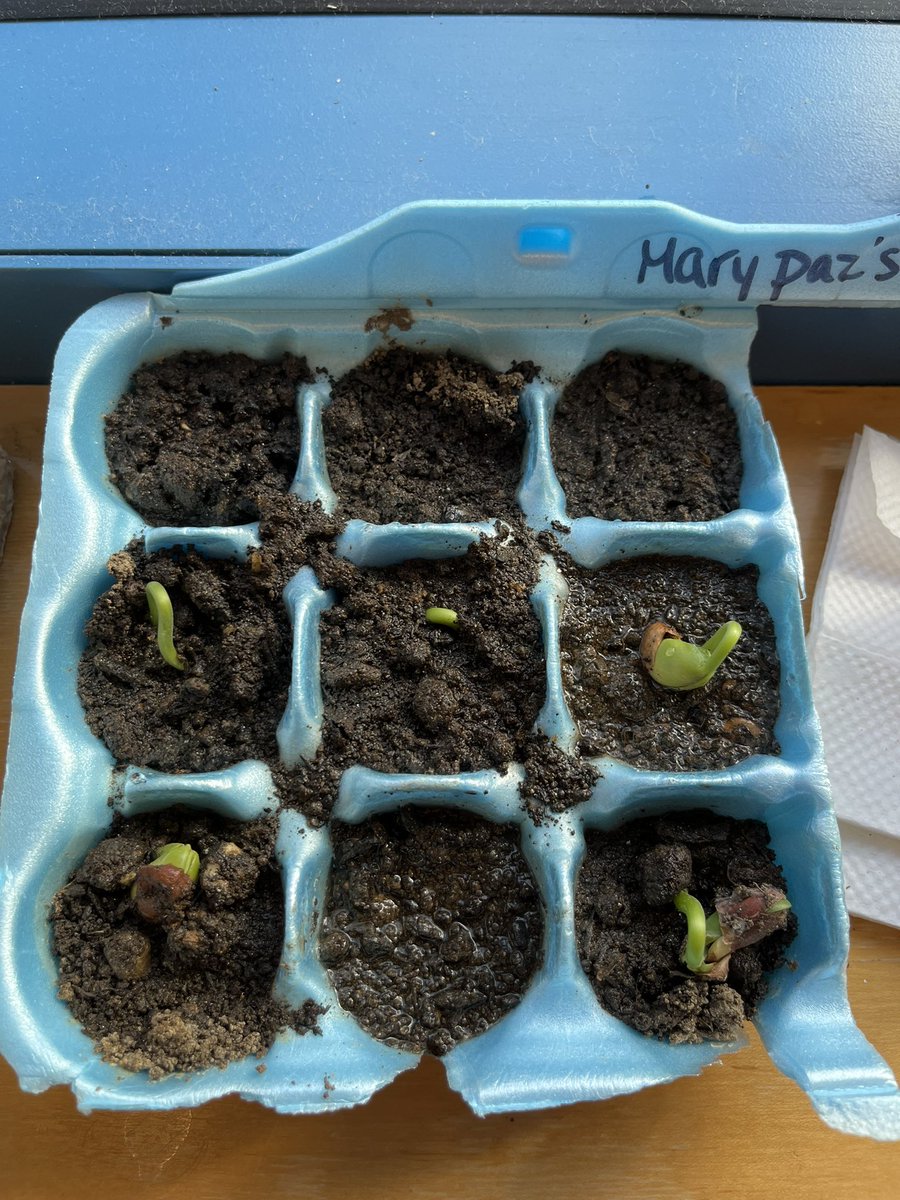 Earth Day ties in nicely with Seed Study 💚🌱🌎💚🌎🌱💚
Recycle/ Reuse