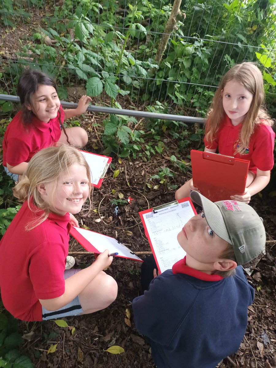 Hendrefoilan's tweet photo. A wonderful afternoon exploring the biodiversity of our wonderful school grounds! Plus a check in on our trees and @PeaceMala garden! All looking beautiful! βοΈπΌπ³ #hdfpSciTech https://t.co/tiPS2FB92Z