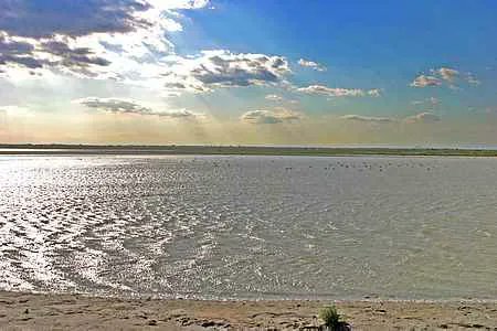 The Camargue region of France 

buff.ly/3q5bGHk #France 🇨🇵 #travel #photo