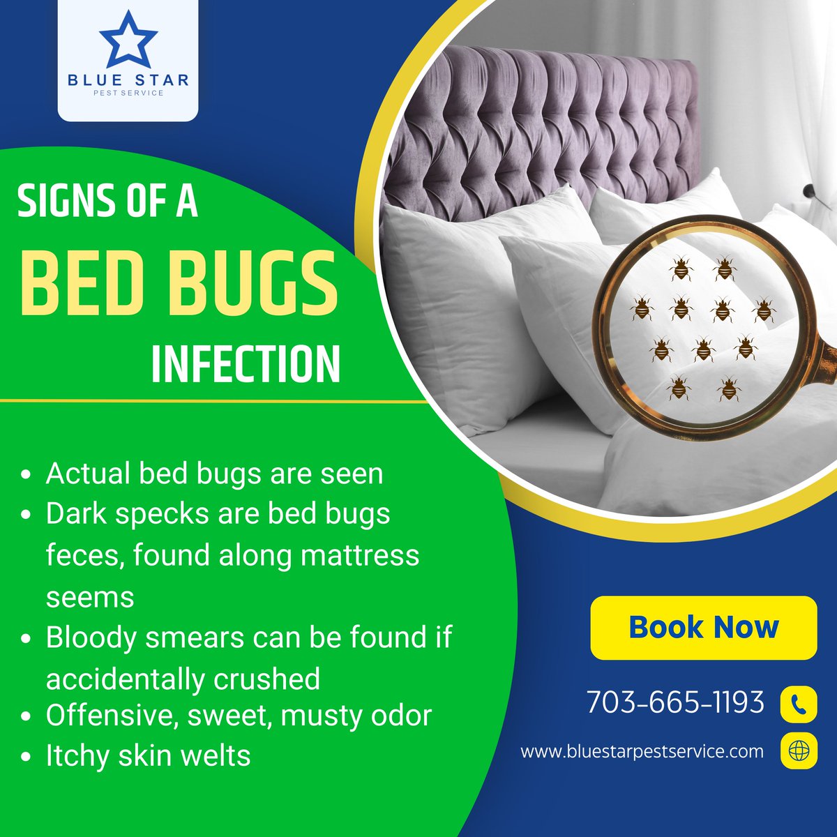 'Unveiling the Hidden Intruders: A Comprehensive Guide to Identifying the Distinctive Signs of a Bed Bug Infestation'

 #pestcontrol #petservices #bluestarpest #manassas #termitecontrol #rodentcontrol #manassascity #help