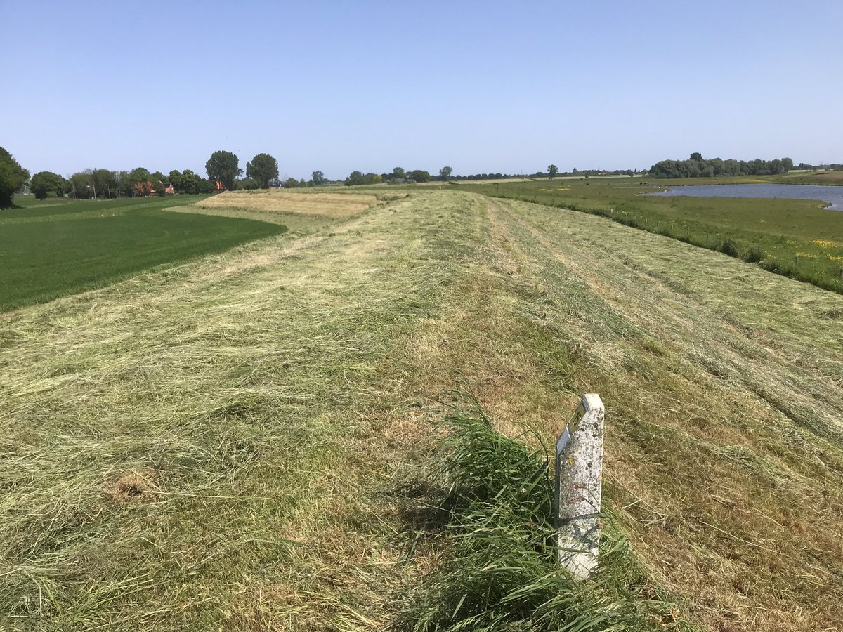Deze week nog waren hier op de dijk in Keent zeldzame koninginnenpages volop actief op deze bloemrijke dijk. Vandaag alles plat op beide kanten van de dijk, terwijl <a href="/aaenmaas/">aaenmaas</a> waterschap Aa en Maas meldt voortaan op dijken eerst één kant te maaien en later de andere kant. Jammer!