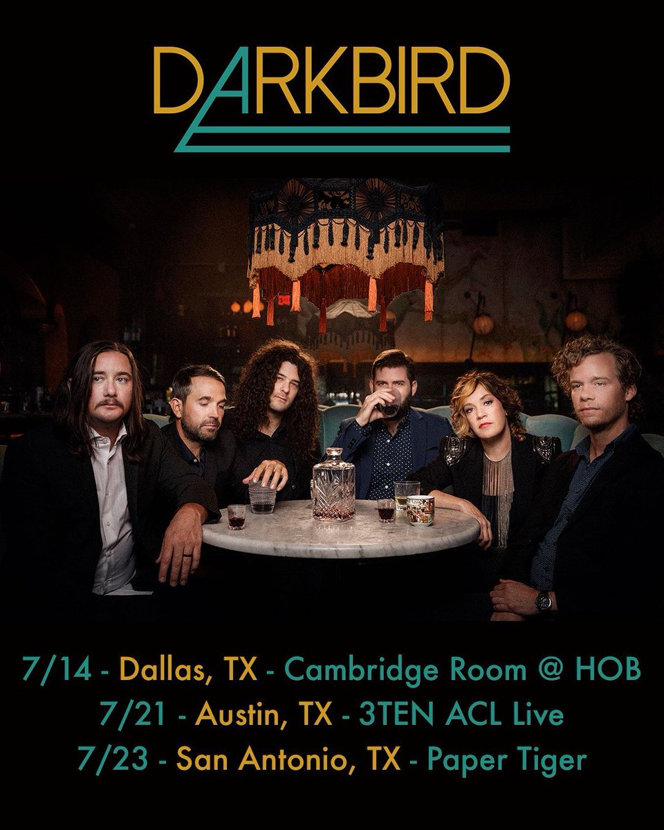 darkbirdband tweet media