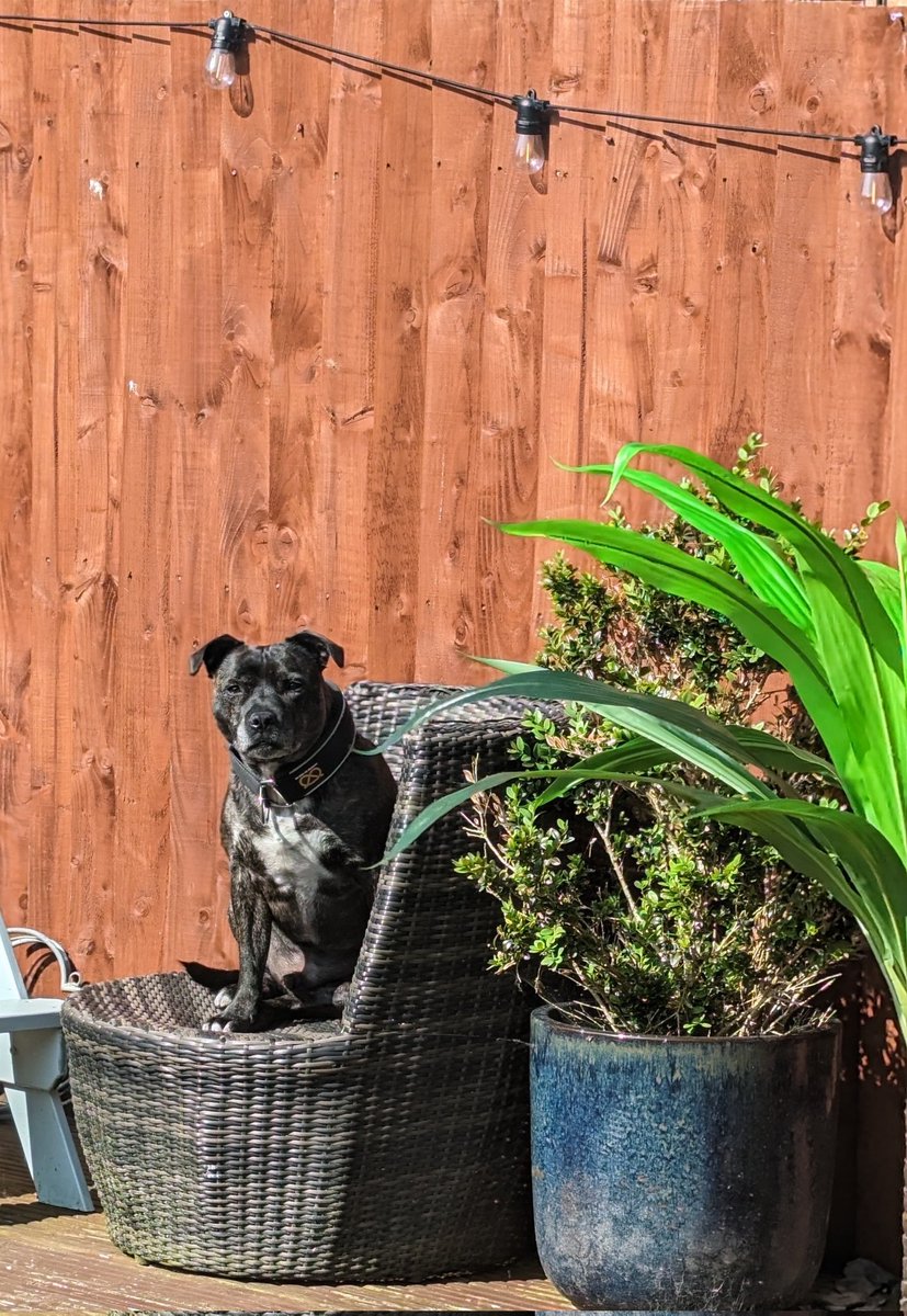 PD Cooper tweet media