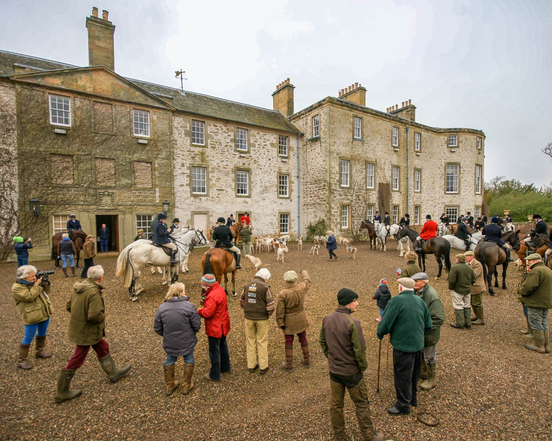 lurcherwork's tweet image. #huntingwithhounds #foxhunting #predatorcontrol #horses #countrylife #scotland #gunpack