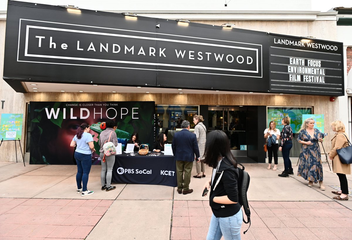 Tangled Bank Studios tweet media