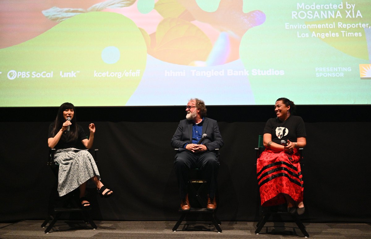 Tangled Bank Studios tweet media