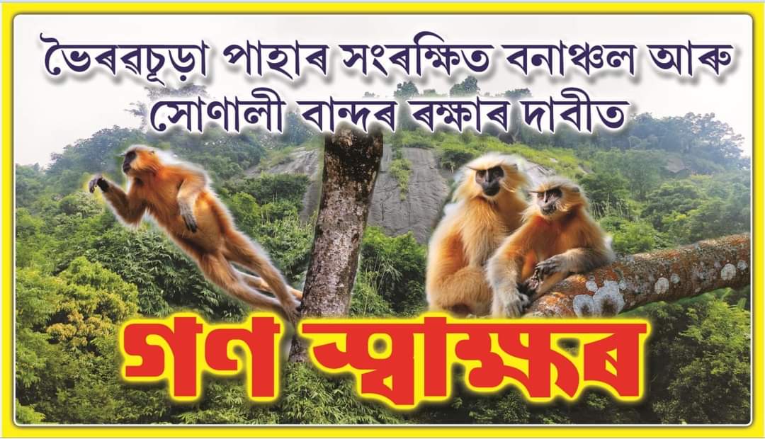 #Save_GoldenLangur #Save_Nature #Bhairabsura_Pahar #Bongaigaon #Assam #Nature #TweeterWorld