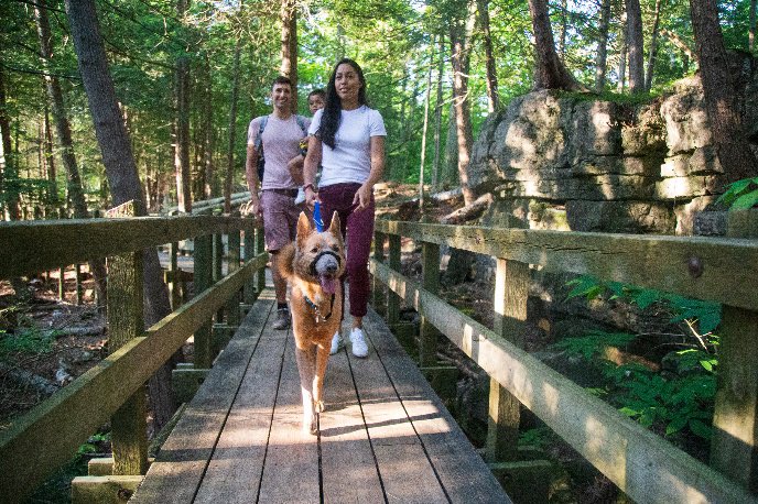 Conservation Halton Foundation (@chfoundation) on Twitter photo If you’re looking for something fun this weekend, why not plan a visit to <a href="/ConservHalton/">Conservation Halton</a> Parks? On May 27th and 28th, all proceeds from park entrance fees will go to projects that aim to make our greenspaces more accessible. Book at parkvisit.ca #parks #giving If you’re looking for something fun this weekend, why not plan a visit to <a href="/ConservHalton/">Conservation Halton</a> Parks? On May 27th and 28th, all proceeds from park entrance fees will go to projects that aim to make our greenspaces more accessible. Book at parkvisit.ca #parks #giving