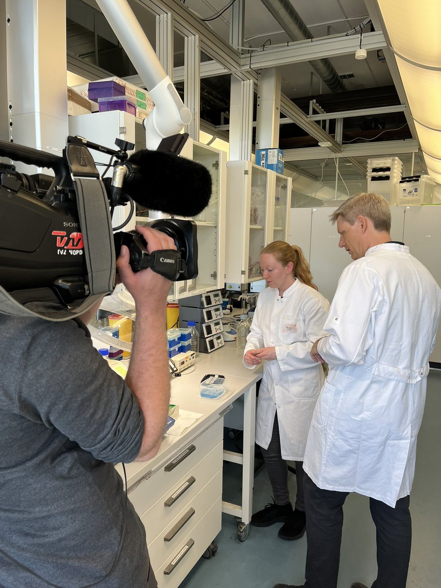 Just another day at the office: Interviews and lab shots for coming media stories about how our research in calmodulin mutations has been a key point the court case of Kathleen Folbigg 💪 @mtovergaard <a href="/MaleneBrohus/">MaleneBrohus</a> @MetteNyegaard
