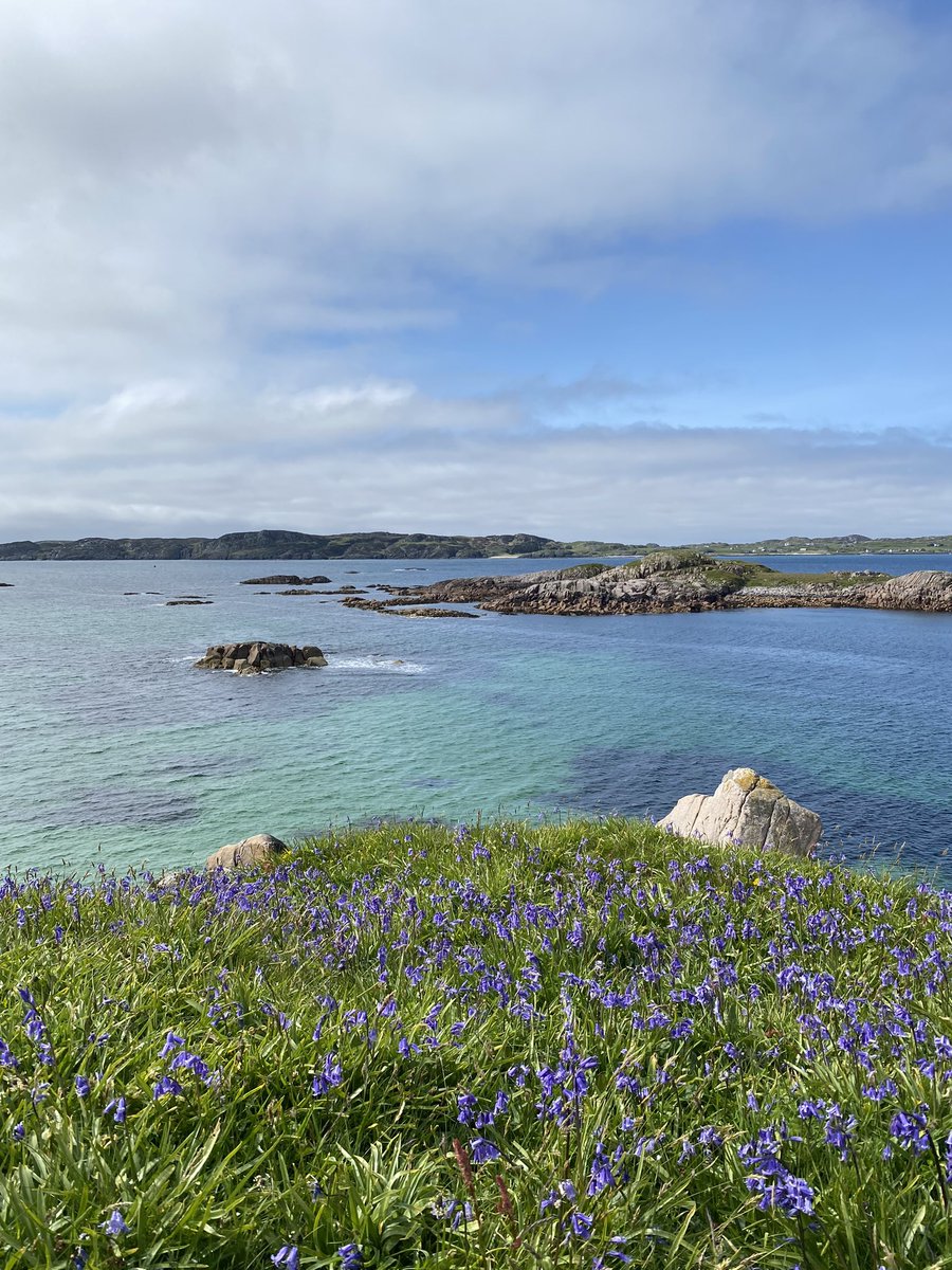 SFaulknerPandO's tweet photo. I can’t make up my mind whether I’m super dedicated to #StrathEdD or just nuts!? Having got up at 5am this morning to make our way to Mull⛴️camping ⛺️for the holiday weekend, I’m on the train to Glasgow having left Mull on the ferry this evening It’s our last taught module #ARMTP https://t.co/EnFFvn0s9W