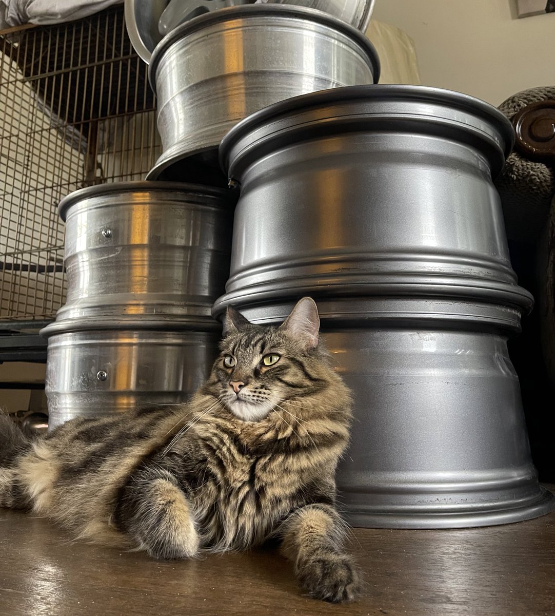 More wheels more wheels more wheels more wheels 🫠🫠🫠🫠🫠