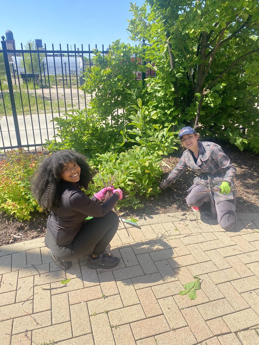 Chicago Bears tweet media