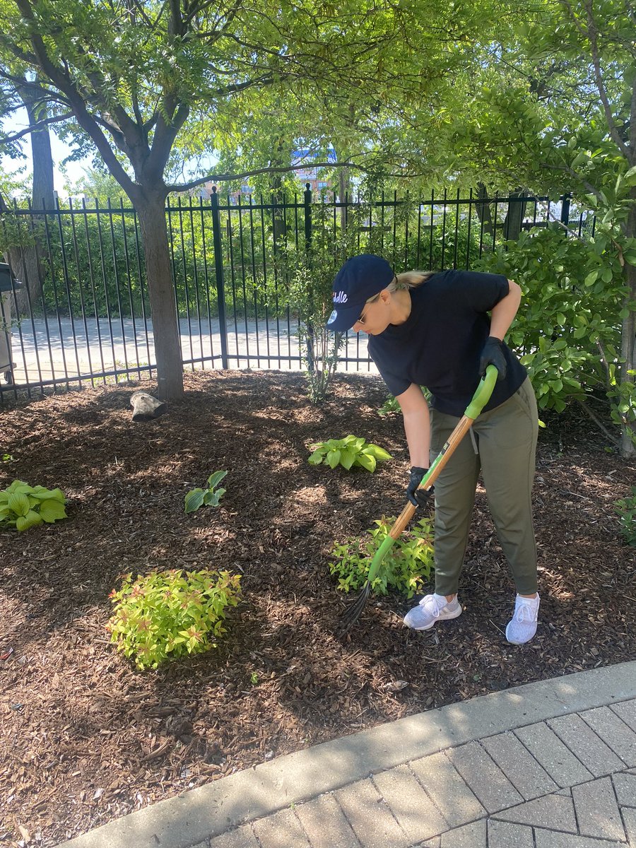 Chicago Bears tweet media