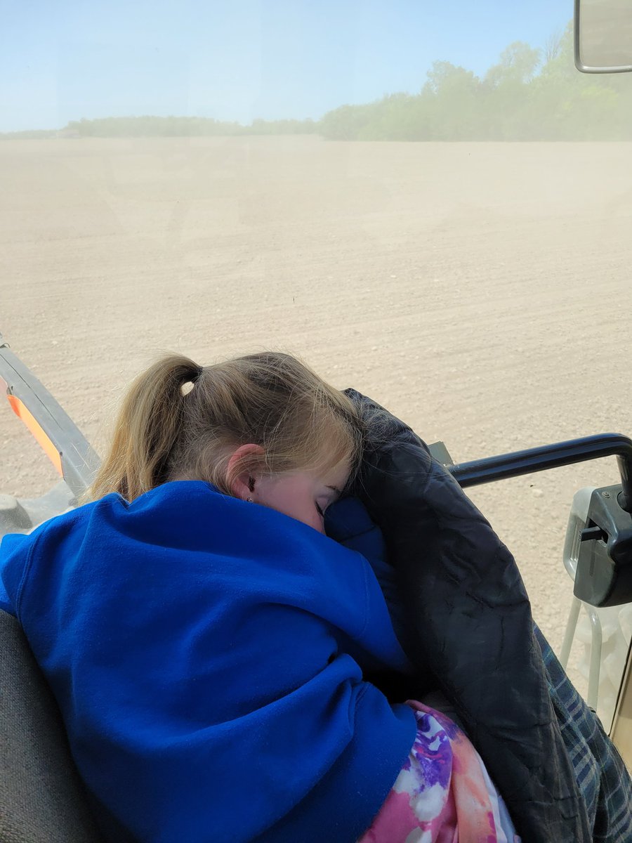 Should have got the optional right hand door, I need to check seed but don't want to disturb her.