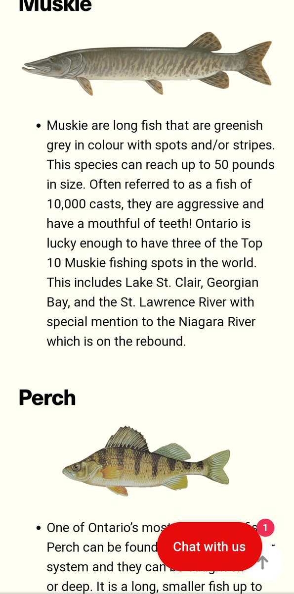 SmallTownBigPic's tweet photo. @NomadNephilim @DisneyStudiosCA Using concepts of evolutionary biology to argue against the skin colour of a fantasy species is laughably childish.

But also... Yes, I've seen plenty of fish with dark coloured scales... https://t.co/eNKWS8ycSo
