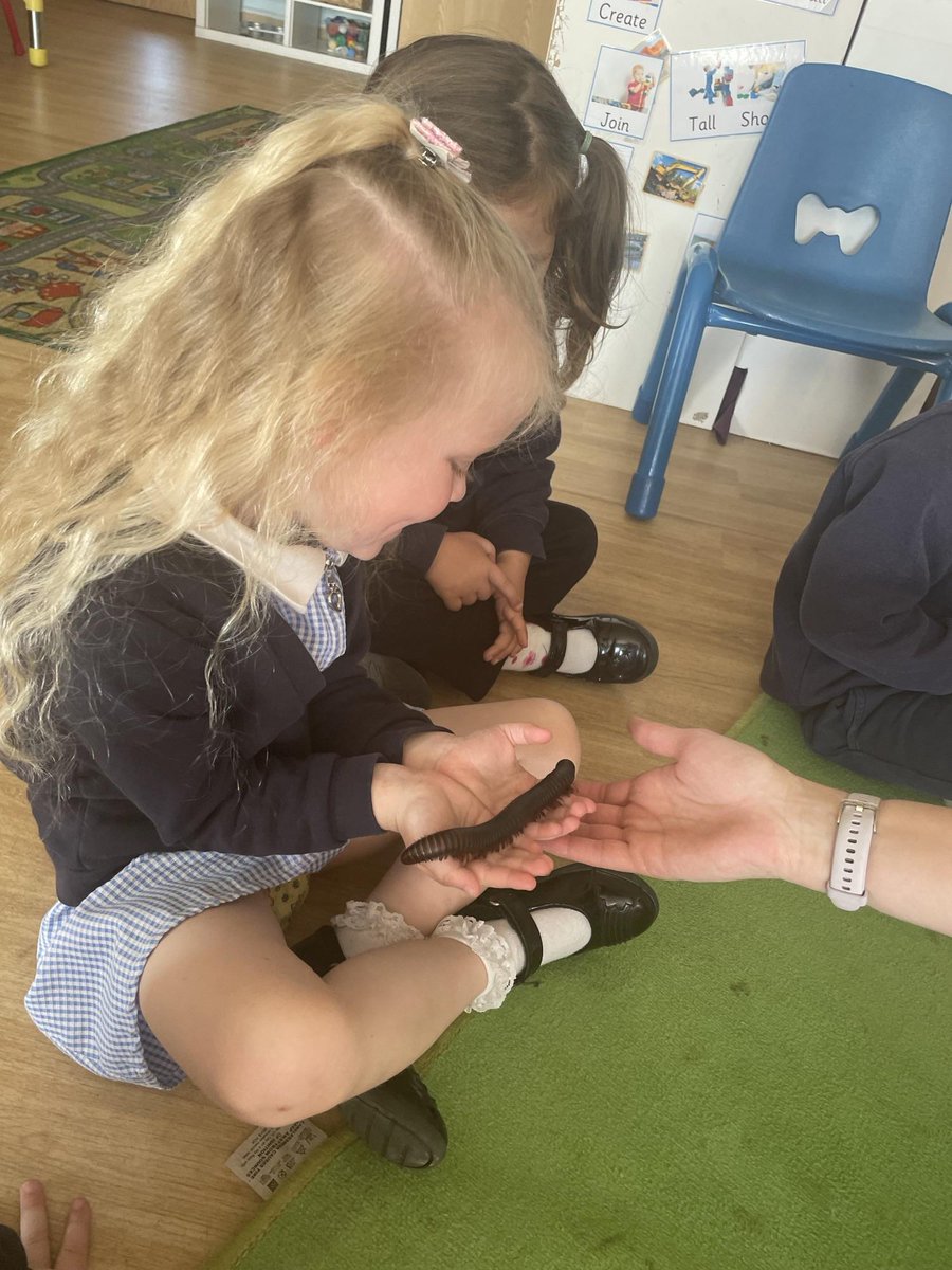 This week in Nursery we have welcomed @LionLearners! We had the best time learning all about the animals!