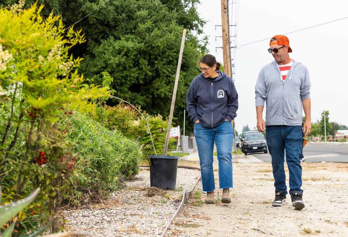 Students discovered the power of community and urban gardens during our CSAC 363A May Term: Community and Urban Gardens.

Through a partnership with Fallen Fruit, students learned practical gardening skills while creating food resources that nourish us and our community.