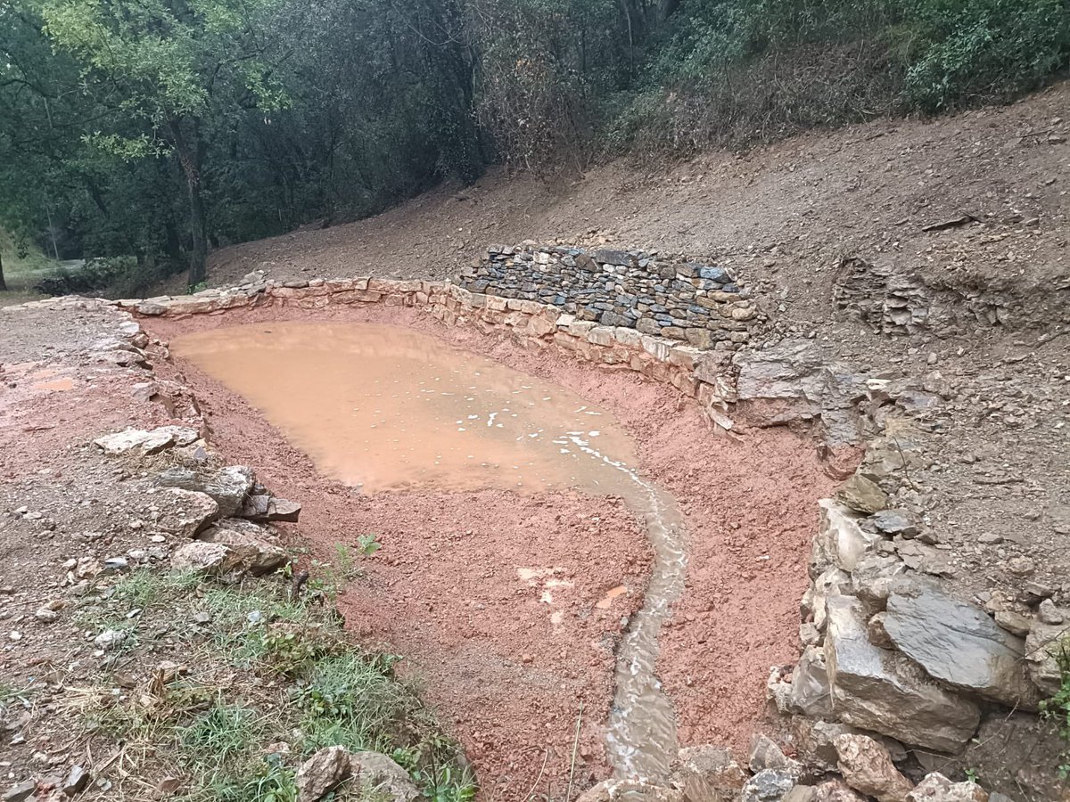 Volem aprofitar per recordar que les basses ben conservades són uns punts calents de biodiversitat que es troben en retrocés per diferents factors d'amenaça, com el canvi climàtic.