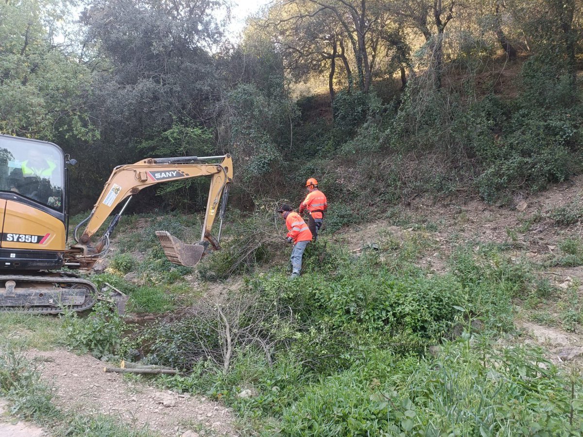 La construcció d'aquest nou punt d'aigua, alimentat per una surgència d'aigua natural, forma part del Pla de Millora de la Biodiversitat de l'AMB. A partir d'ara, amfibis com el tòtil i multitud d'invertebrats aquàtics tindran un espai on viure.