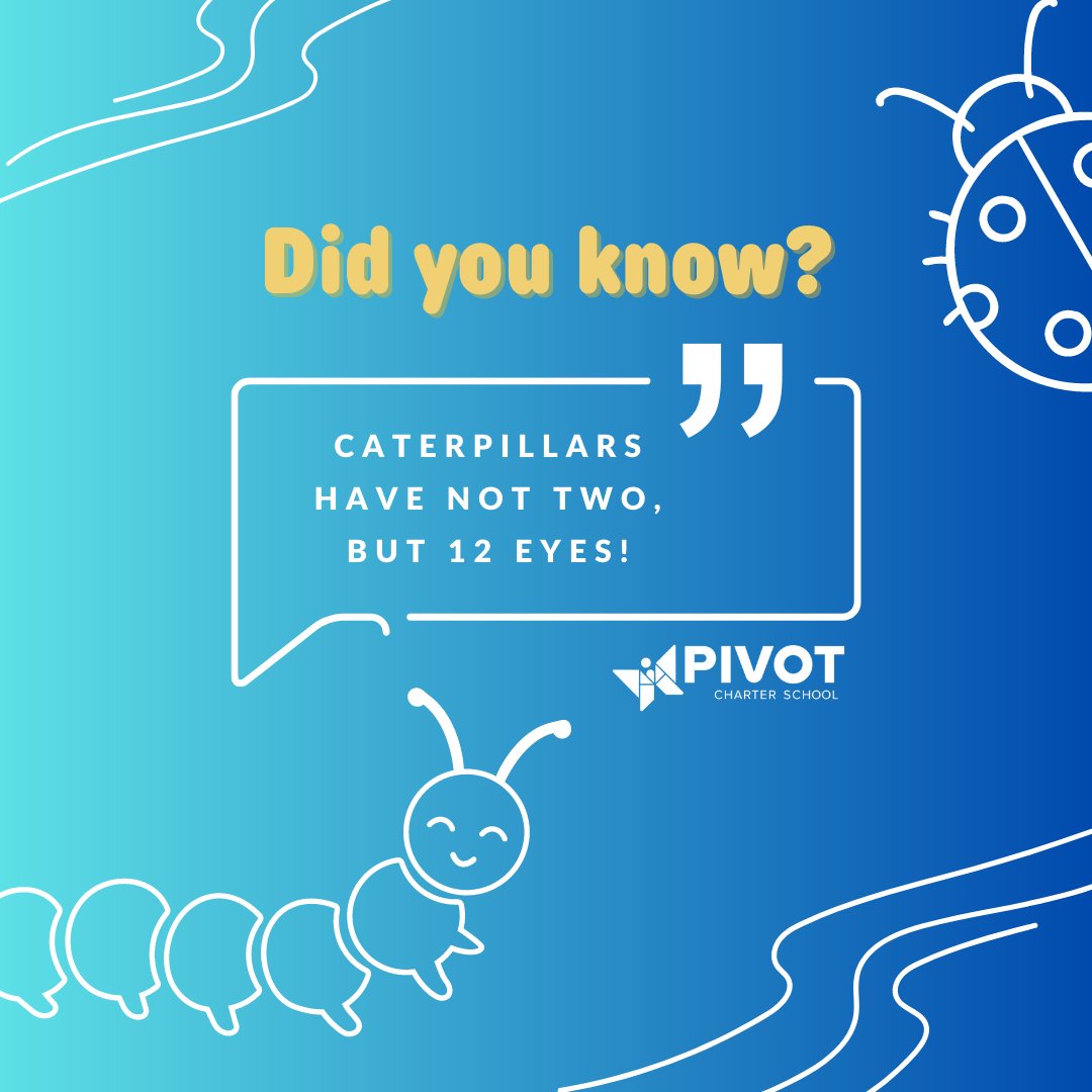 #FactFriday: Let's learn some fun facts about bugs!

🐛 Caterpillars have not two, but 12 eyes!
🐌 Snails take extra long naps... some last up to three years!
🐞 Ladybugs can eat over 5,000 smaller bugs in their lifetime.