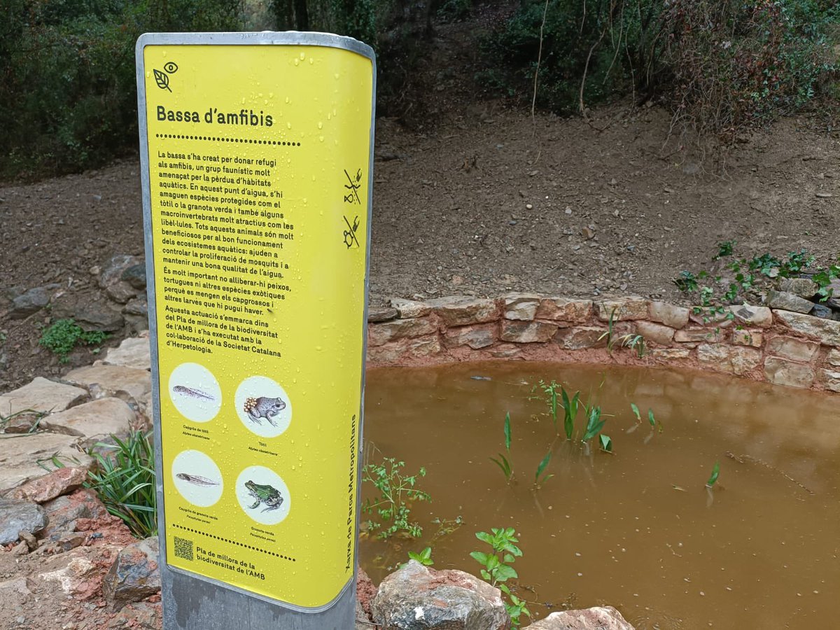 Siguem conscients dels valors ecològics i culturals que ens poden arribar a aportar els hàbitats d'aigua dolça. Educació i respecte són sinònims de conservació. 💪🏾

 #biodiversitatAMB #plamillorabiodiversitat #parcsplatgesAMB #parcsmetropolitans