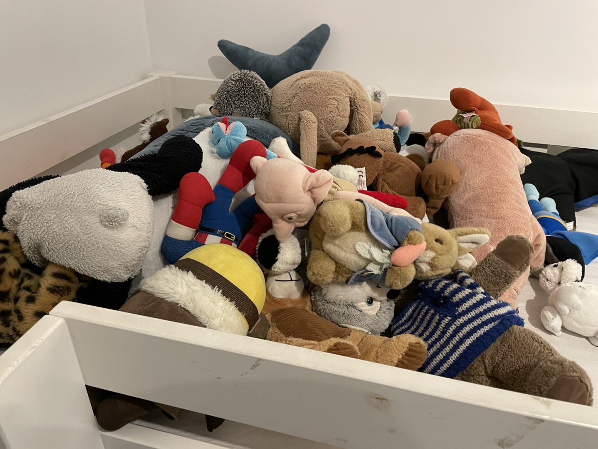 Mocht er iets misgaan met de biodiversiteit… wij hebben thuis de Ark van Noach. 🍀🐸🐥🦋🦄🙈