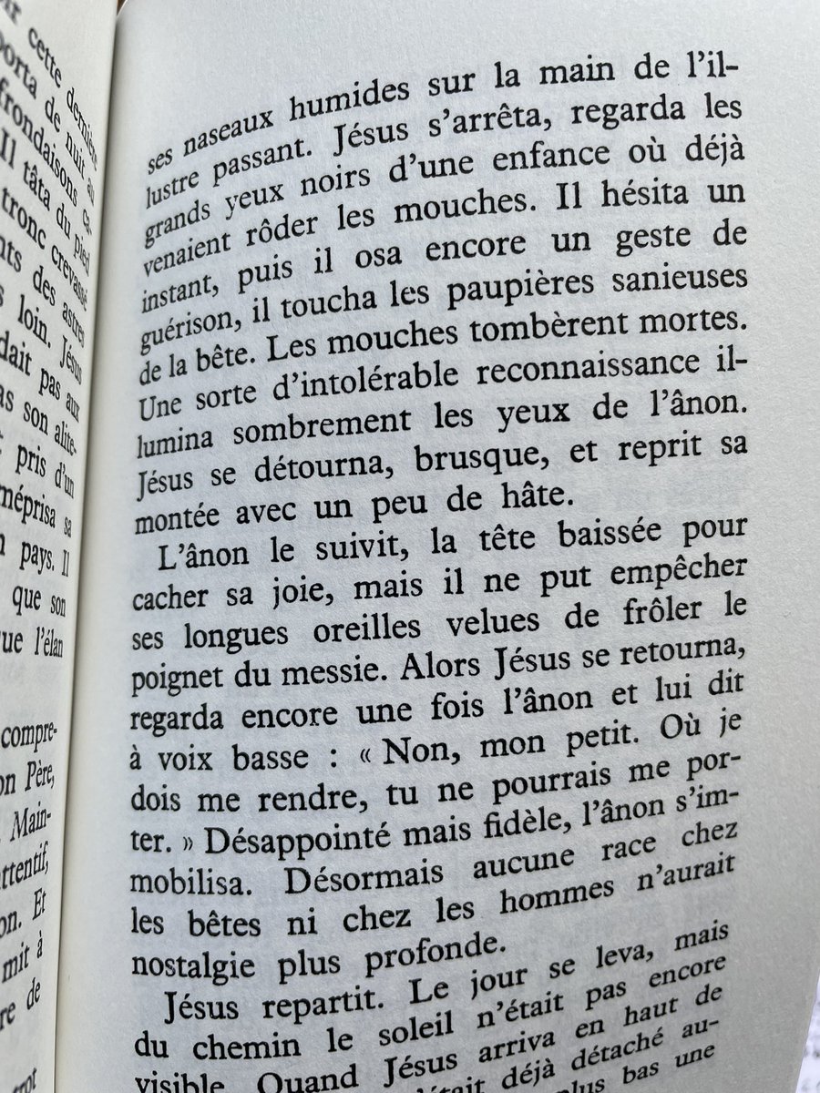 Merci <a href="/FxMaigre/">François-Xavier Maigre</a> pour la découverte du  Messie de Jean Grosjean <a href="/Gallimard/">Gallimard</a>, récit de style du #Jesus entre Résurrection et #Ascension. Un messie impatient de vie éternelle, errant en Galilée, «sorti des ténèbres pour rencontre la nuit», avec pour seul ami un ânon #VendrediLecture