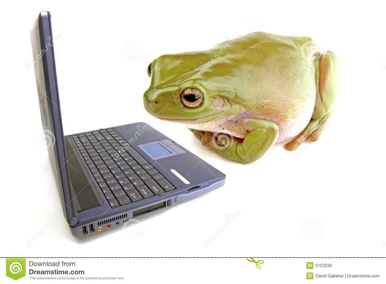 DudeTheNinja on X: frog that says reddit instead of ribbit