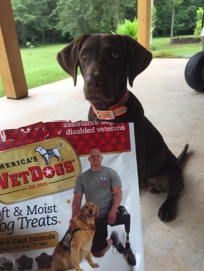 VetDogsProducts's tweet photo. With every purchase of #America's VetDogs treats, a donation is made to support the #VetDogs Training Program. PLUS, your pup gets to enjoy some of the tastiest #treats out there!
It's a win-win! 😉 https://t.co/5EP1xP3Hu3