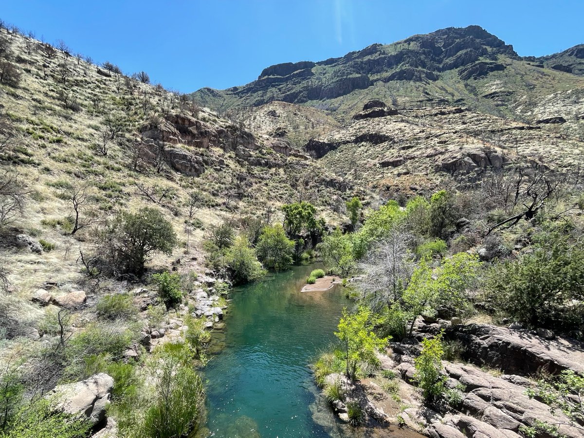 Spending #MemorialDay 🇺🇸 on the water? Remember to be on the lookout for water that looks scummy or like pea soup. Certain algae can be a #HarmfulAlgalBloom and make you sick 🤢!

Learn more about algal blooms ➡️  bit.ly/AlgalBloomAZ

#waterquality #nationalroadtripday #AZ