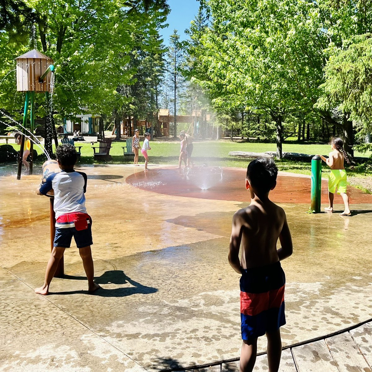 Mrs. Walker (@mrswalkerocsb) on Twitter photo Field trips are the best! Thank you <a href="/saundersfarm/">Saunders Farm</a> for a fun filled day ☀️🌳🚜 And a huge shout out goes to our parent volunteers. We couldn’t have done it without you! <a href="/StAnneOCSB/">St. Anne School</a>
#ocsbJoy #ocsbOutdoors #ocsbBeCommunity Field trips are the best! Thank you <a href="/saundersfarm/">Saunders Farm</a> for a fun filled day ☀️🌳🚜 And a huge shout out goes to our parent volunteers. We couldn’t have done it without you! <a href="/StAnneOCSB/">St. Anne School</a>
#ocsbJoy #ocsbOutdoors #ocsbBeCommunity