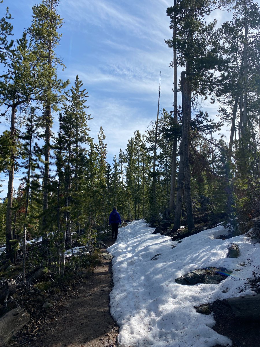 LDMN_LLC's tweet photo. Have great weekend everyone!  Get outside and enjoy the great outdoors!
#Wyoming #wyomingisnotreal #hiking https://t.co/iEpjbBeK7j