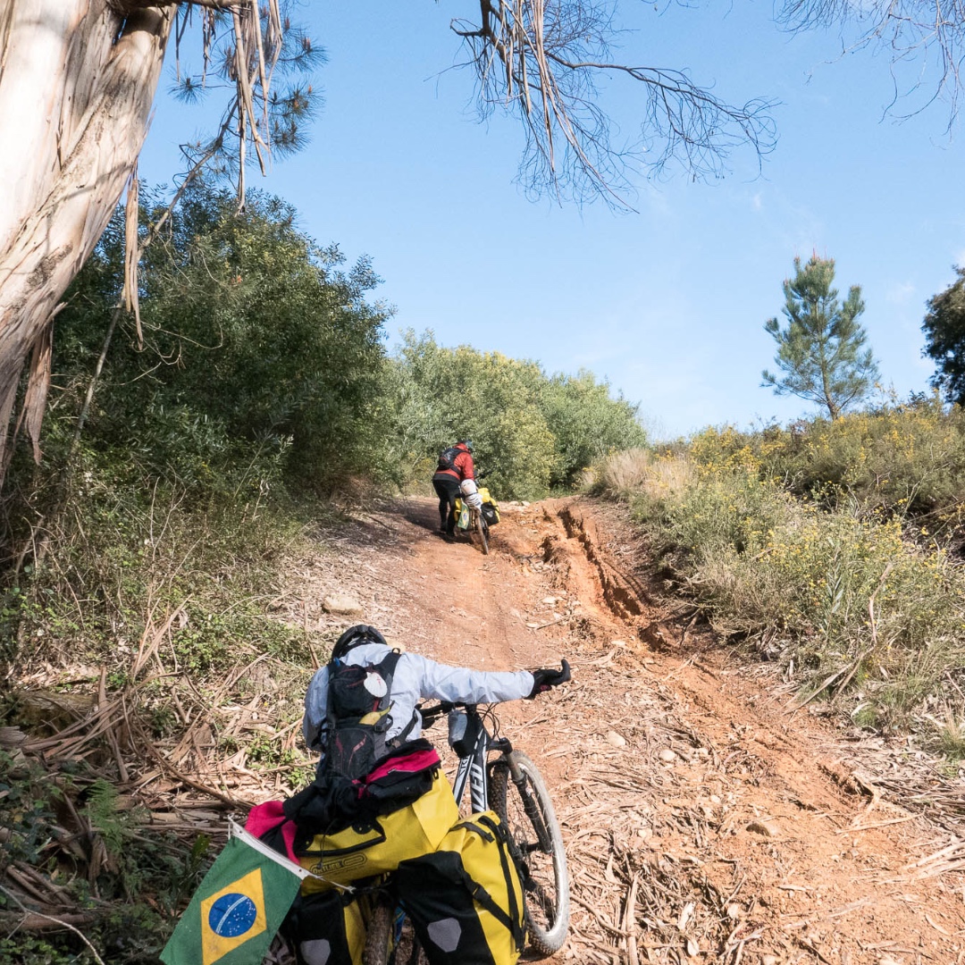 Menuda cuesta!!! nos encontramos este muro en el #caminoportugues despues de #pontedelima y en dirección a #rubiaes , transitabamos por el #caminocentral 

#AlquilerDeBicicletas  #CaminoDeSantiago #CaminoDeSantiagoDesdeLeon #CaminoDelNorte #CaminoFrances #CaminoPrimitivo